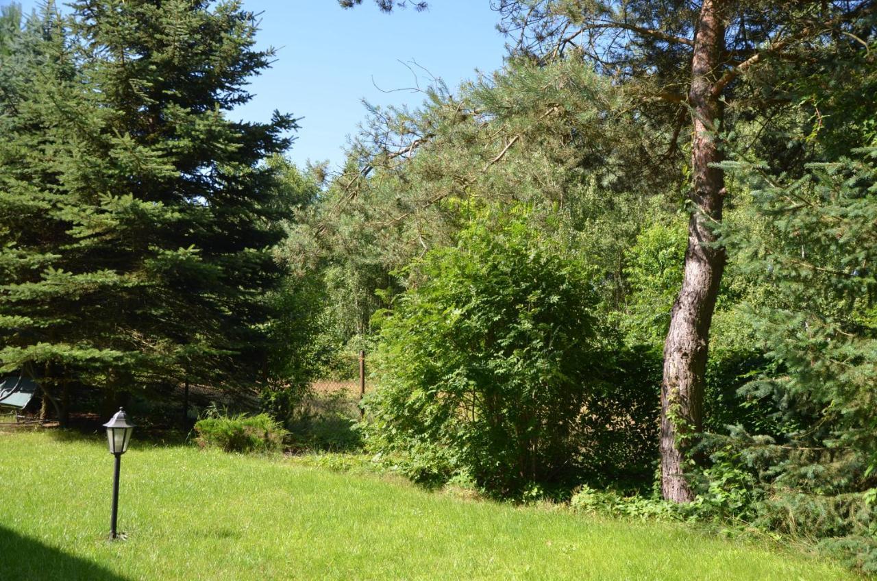 Lublinow Agroturystyka Czekaj Przy Suntago מראה חיצוני תמונה